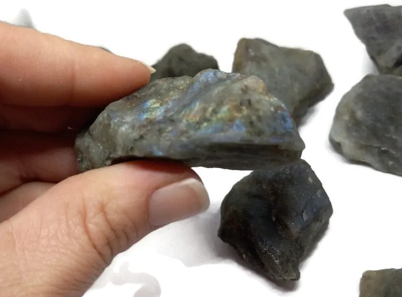 Rough Raw Flash Labradorite sizes from 1.75 to 3 inch