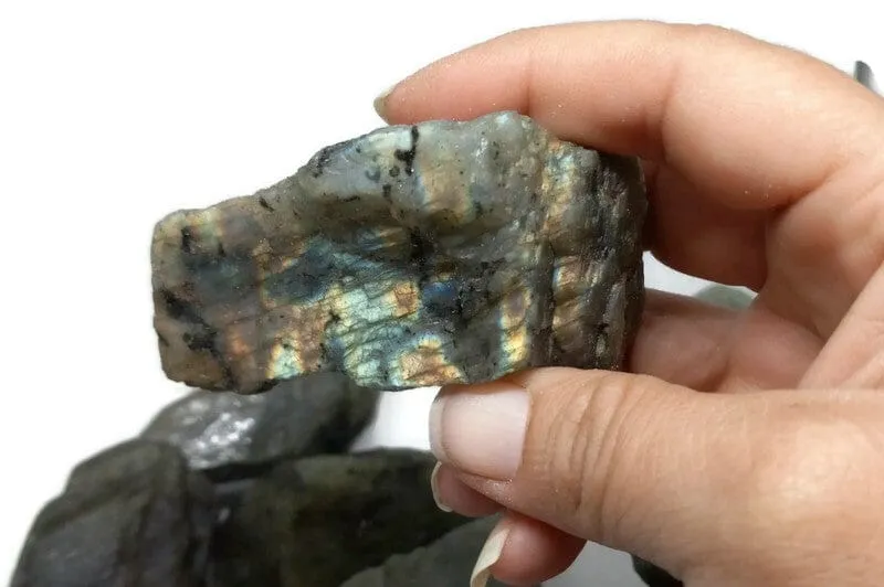 Rough Raw Flash Labradorite sizes from 1.75 to 3 inch