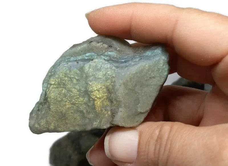 Rough Raw Flash Labradorite sizes from 1.75 to 3 inch