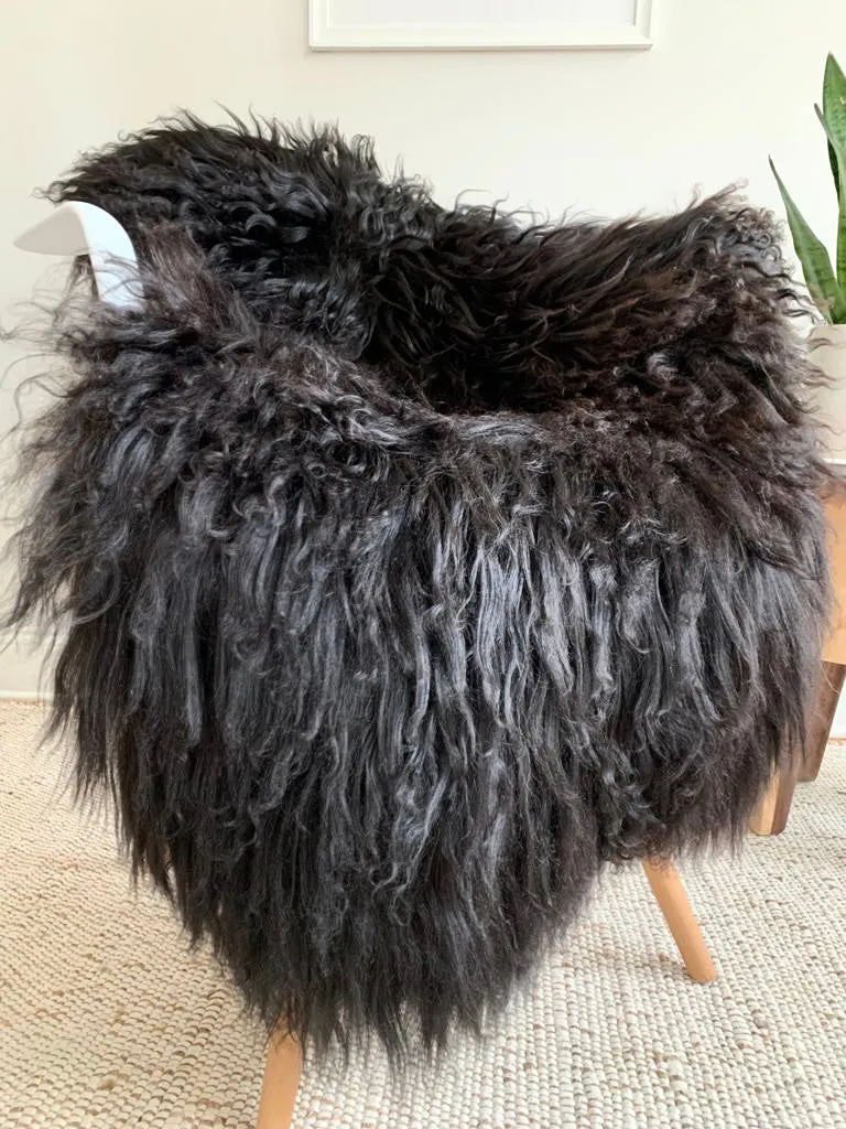 Silky Longhair Black Sheepskin